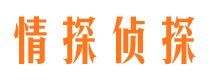 宏伟外遇出轨调查取证